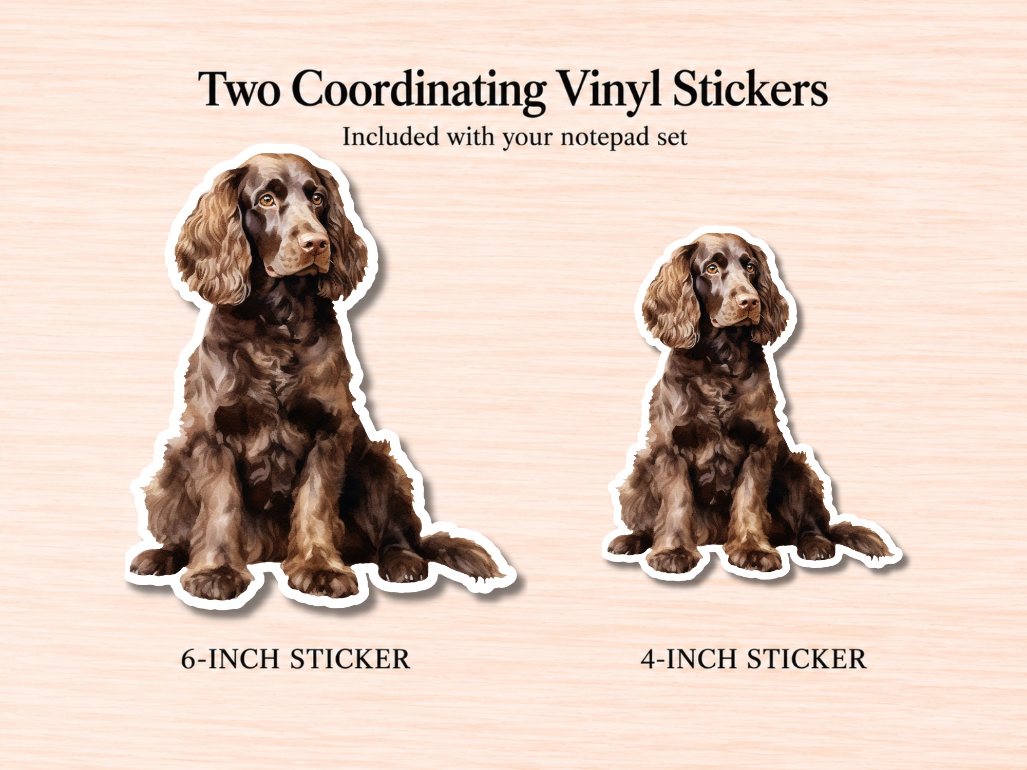 American Water Spaniel Stationery Gift Box | Personalized Notepads and Vinyl Dog Stickers