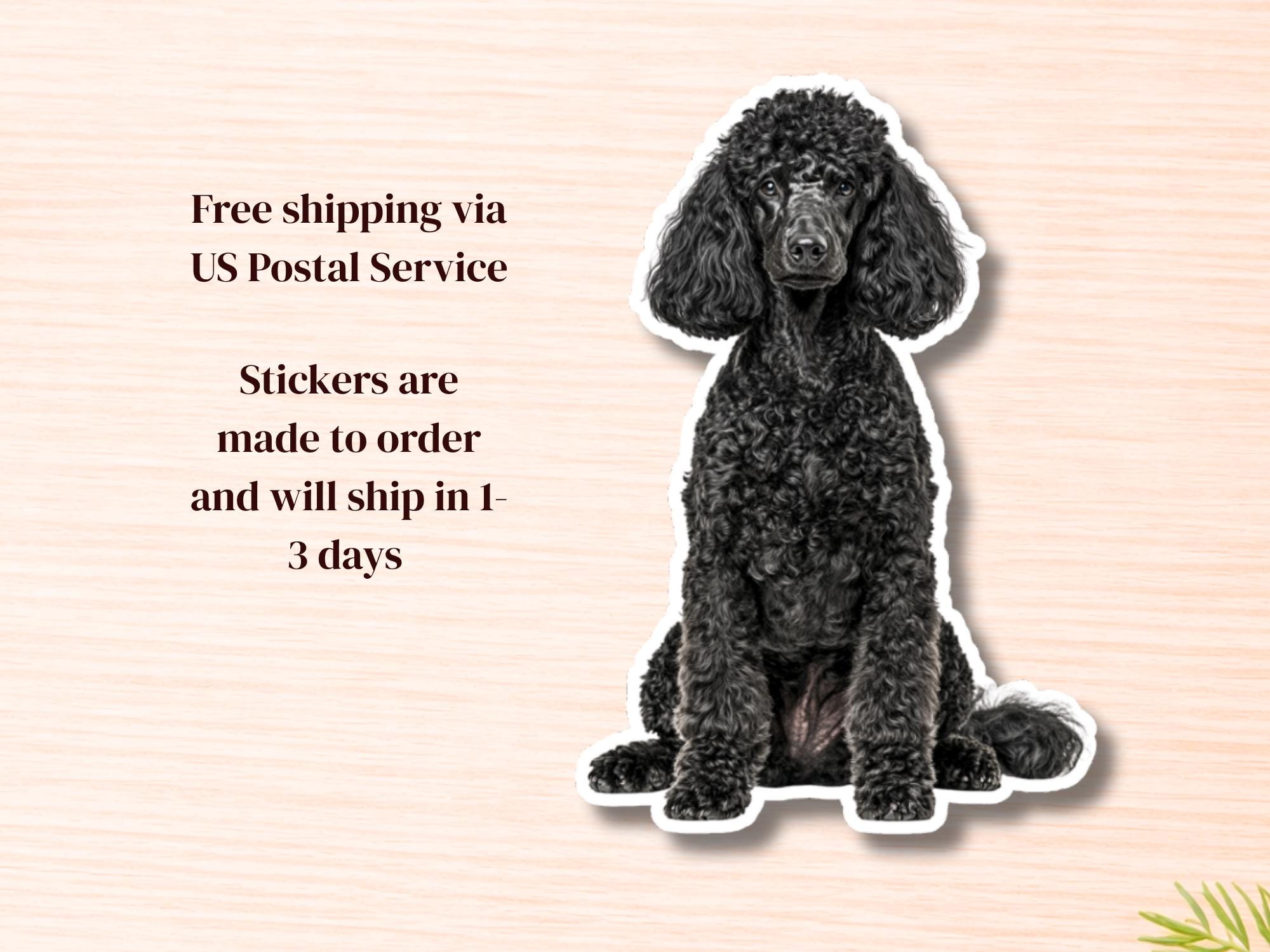 Black Poodle Vinyl Sticker | Waterproof Dog Decal - Image 3