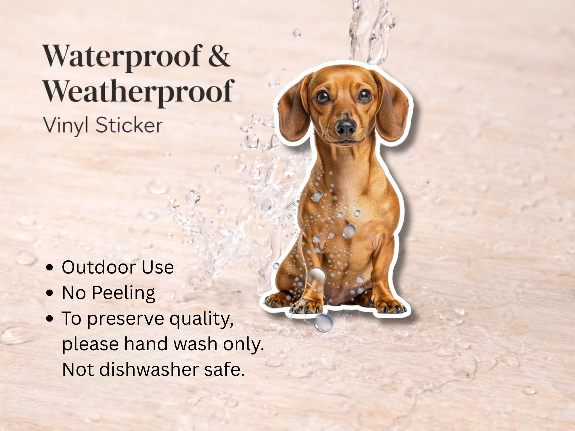 Dachshund Sticker | Waterproof Vinyl Dog Decal (Laptop, Water Bottle) - Image 3