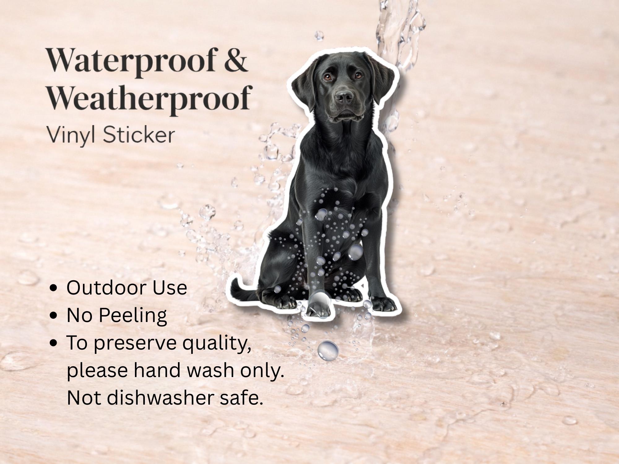 Black Lab Sticker | Waterproof Vinyl Labrador Retriever Decal (Laptop, Water Bottle) - Image 3