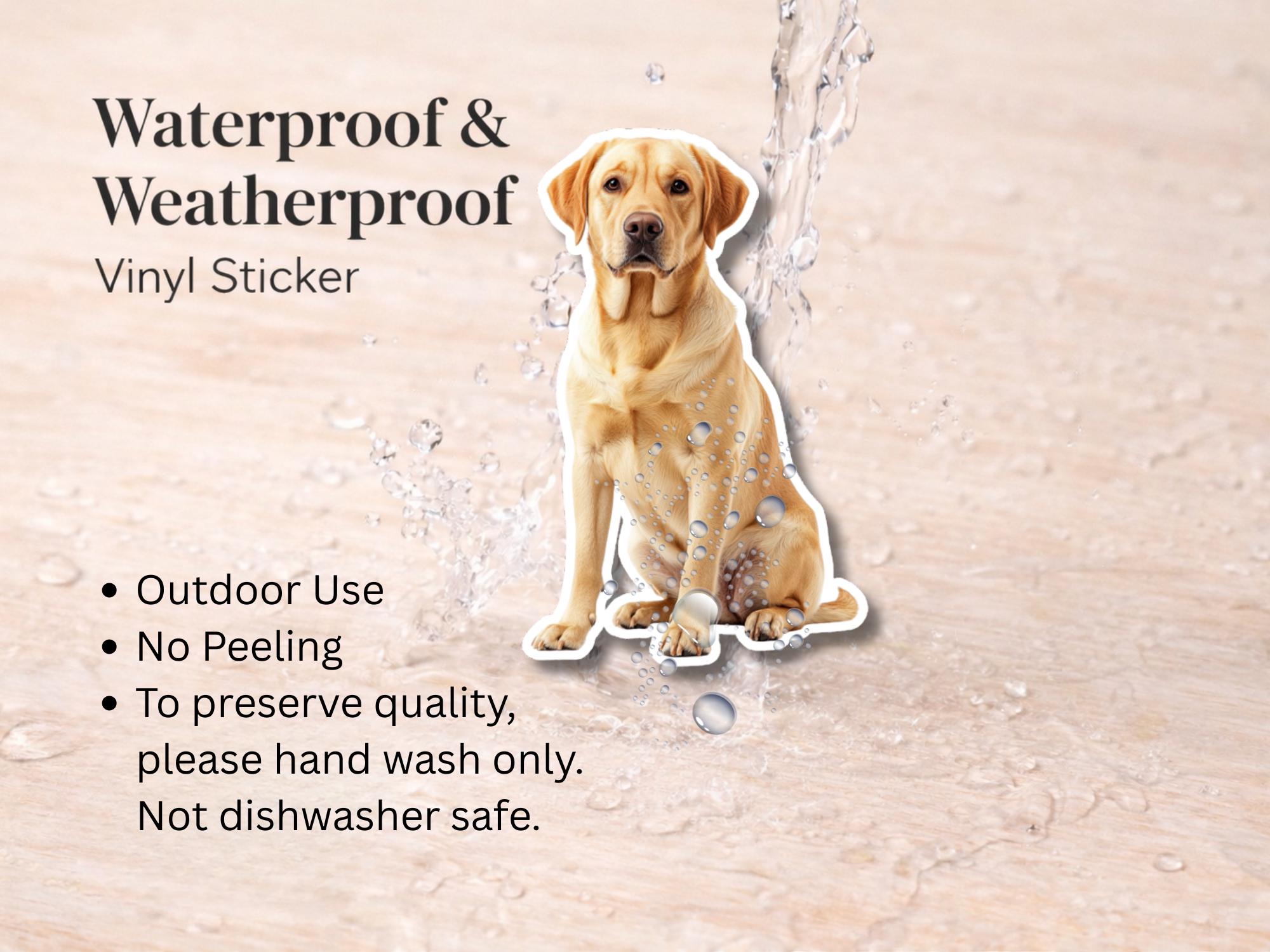 Yellow Lab Sticker | Waterproof Vinyl Labrador Retriever Decal (Laptop, Water Bottle) - Image 3