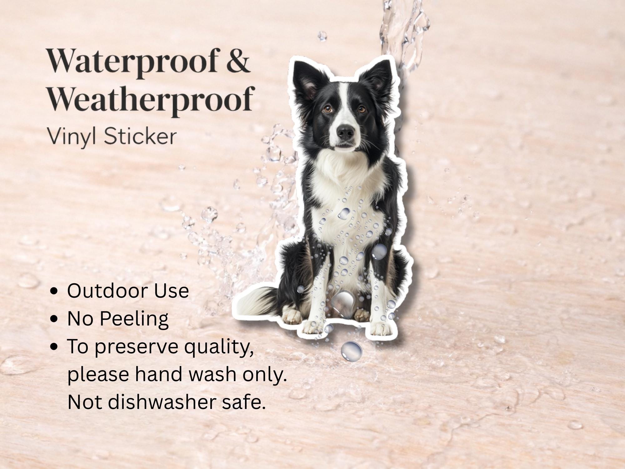 Border Collie Sticker | Waterproof Vinyl Dog Decal (Laptop, Water Bottle) - Image 3