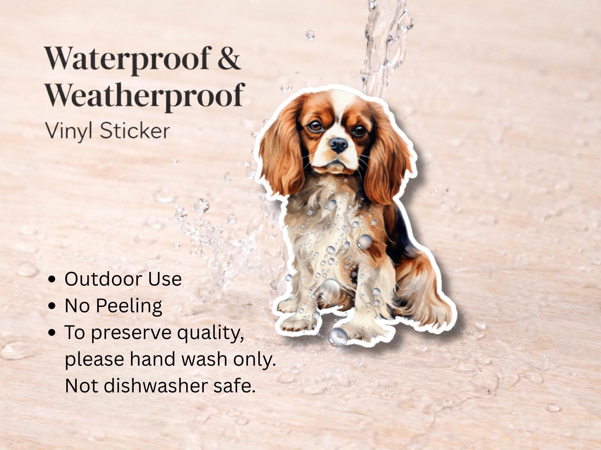 Cavalier King Charles Spaniel Sticker | Waterproof Vinyl Dog Decal (Laptop, Water Bottle) - Image 3