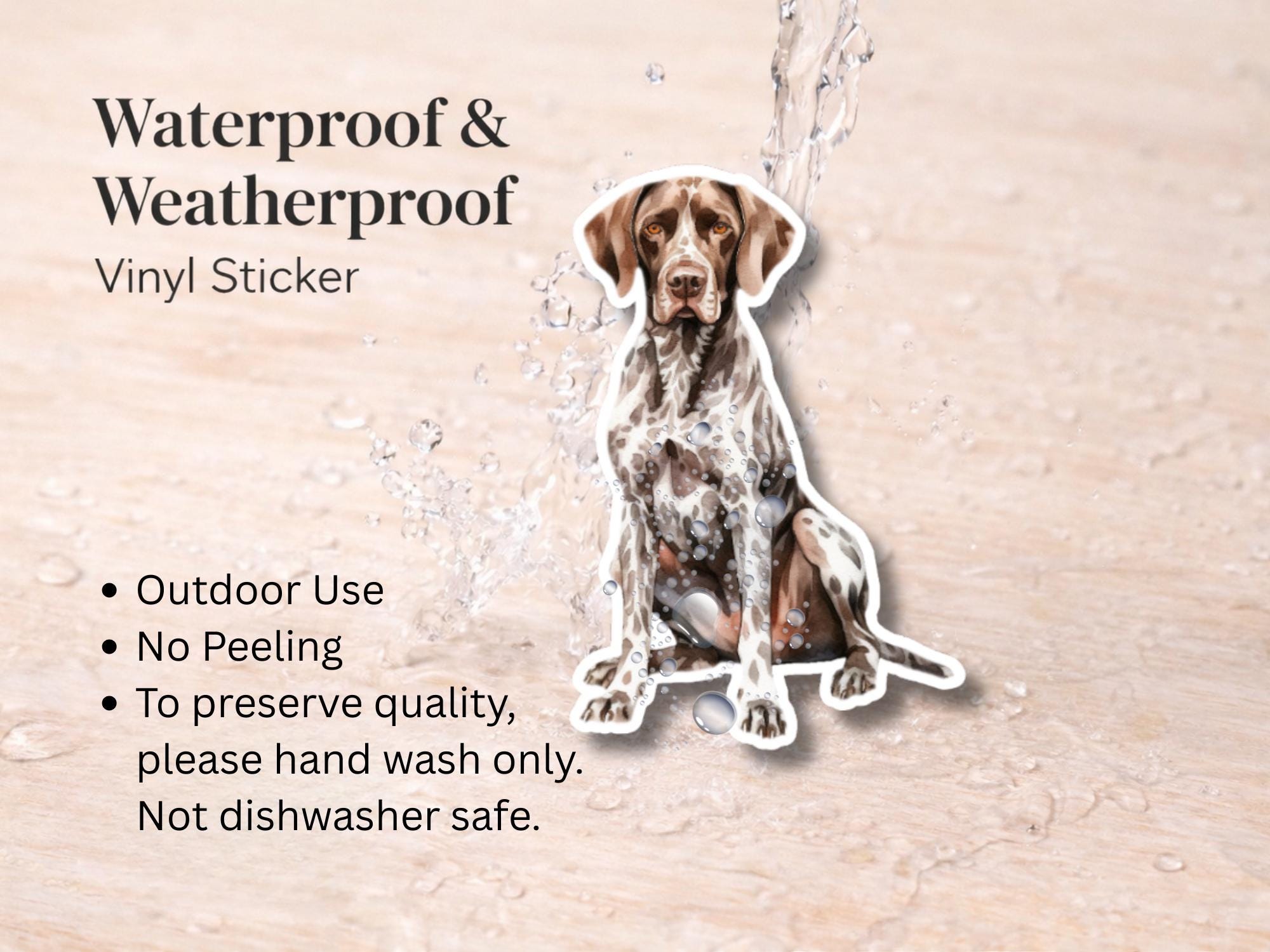 German Shorthair Pointer Sticker | Waterproof Vinyl Dog Decal (Laptop, Water Bottle) - Image 3