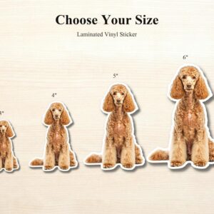Copper Poodle Sticker | Waterproof Vinyl Decal (Laptop, Water Bottle)