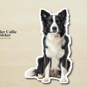 Border Collie Sticker | Waterproof Vinyl Dog Decal (Laptop, Water Bottle)
