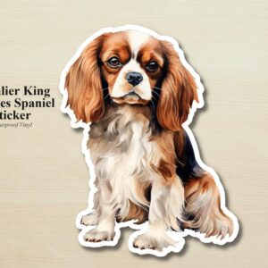 Cavalier King Charles Spaniel Sticker | Waterproof Vinyl Dog Decal (Laptop, Water Bottle)
