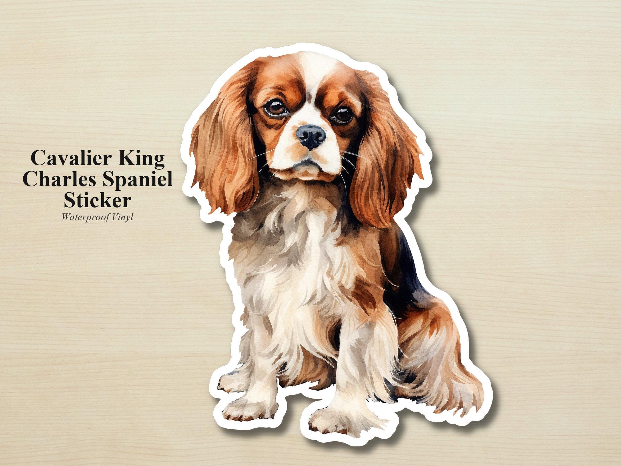 Cavalier King Charles Spaniel Sticker | Waterproof Vinyl Dog Decal (Laptop, Water Bottle)