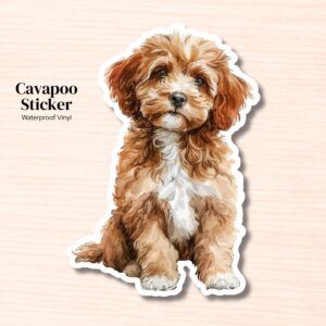 Custom sticker product