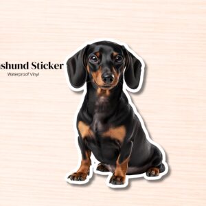 Dachshund Sticker | Waterproof Vinyl Dog Decal (Laptop, Water Bottle)
