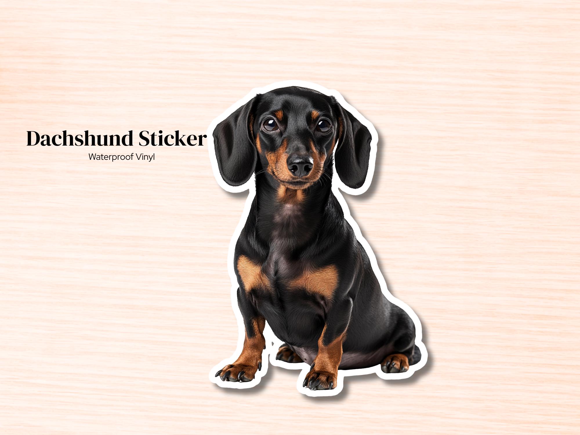 Dachshund Sticker | Waterproof Vinyl Dog Decal (Laptop, Water Bottle)