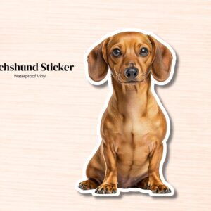 Dachshund Sticker | Waterproof Vinyl Dog Decal (Laptop, Water Bottle)