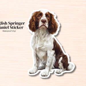 English Springer Spaniel Sticker |Waterproof Vinyl Dog Decal (Laptop, Water Bottle)