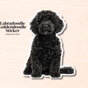 Labradoodle / Goldendoodle Sticker | Waterproof Vinyl Decal (Laptop, Water Bottle)
