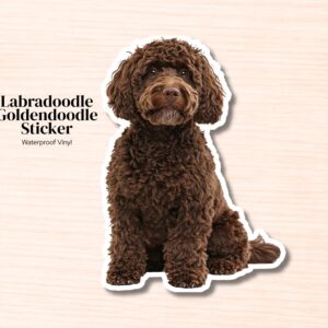 Labradoodle / Goldendoodle Sticker | Waterproof Vinyl Doodle Decal (Laptop, Water Bottle)