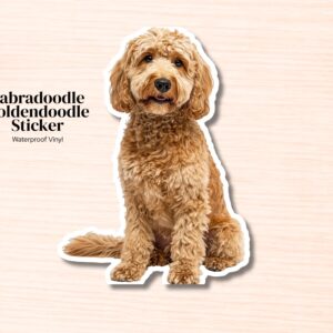 Labradoodle / Goldendoodle Sticker | Waterproof Vinyl Decal (Laptop, Water Bottle)