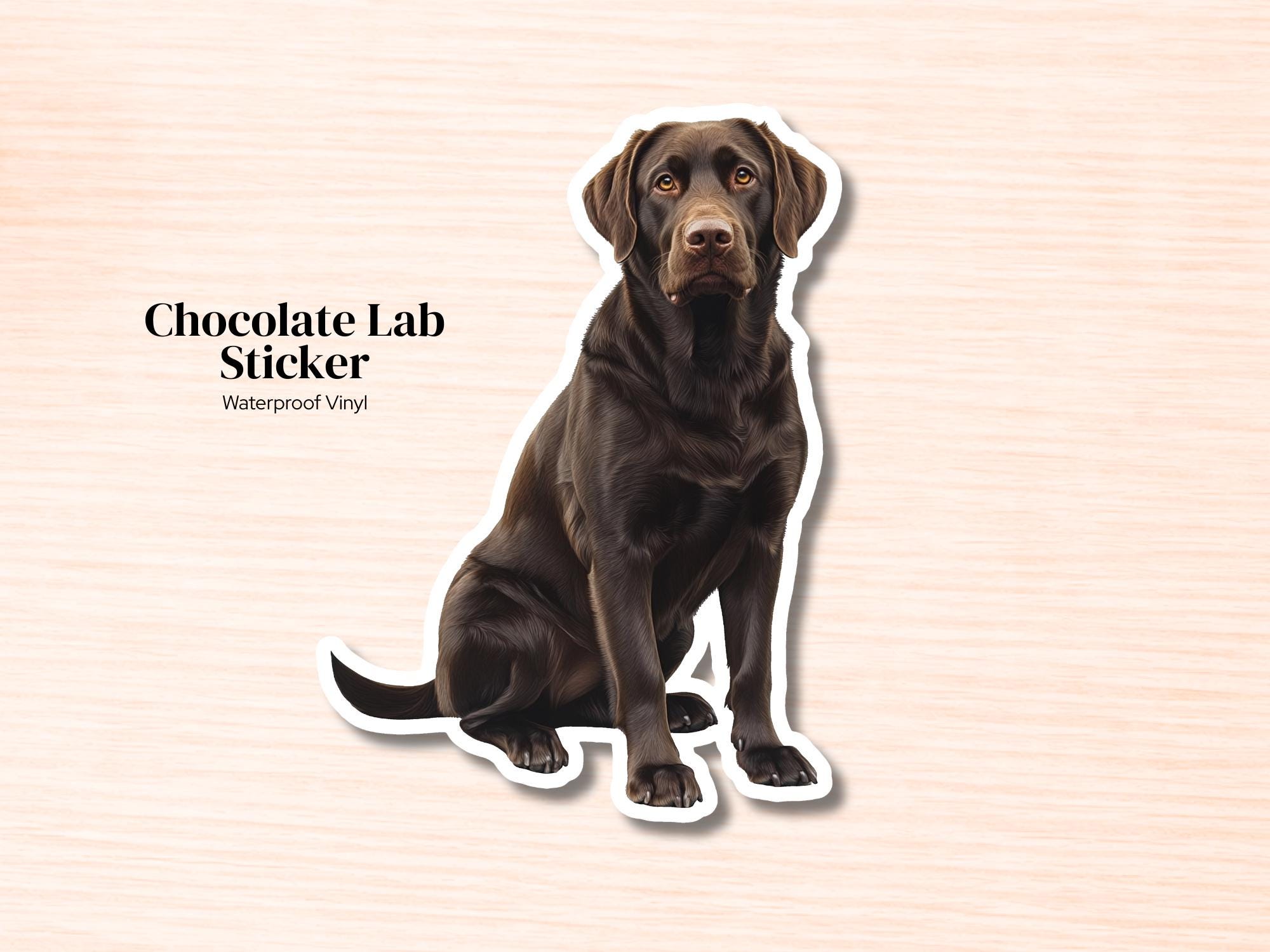 Chocolate Lab Sticker | Waterproof Vinyl Labrador Retriever Decal (Laptop, Water Bottle)