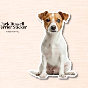 Jack Russell Sticker | Waterproof Vinyl Dog Decal (Laptop, Water Bottle)