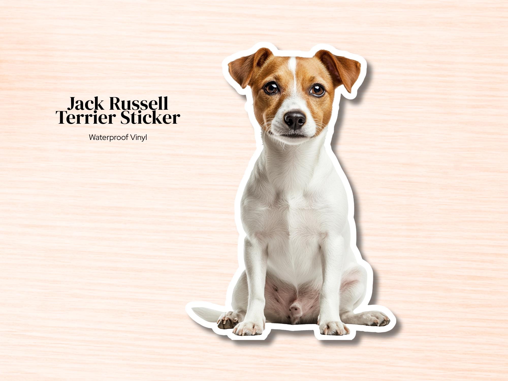 Jack Russell Sticker | Waterproof Vinyl Dog Decal (Laptop, Water Bottle)