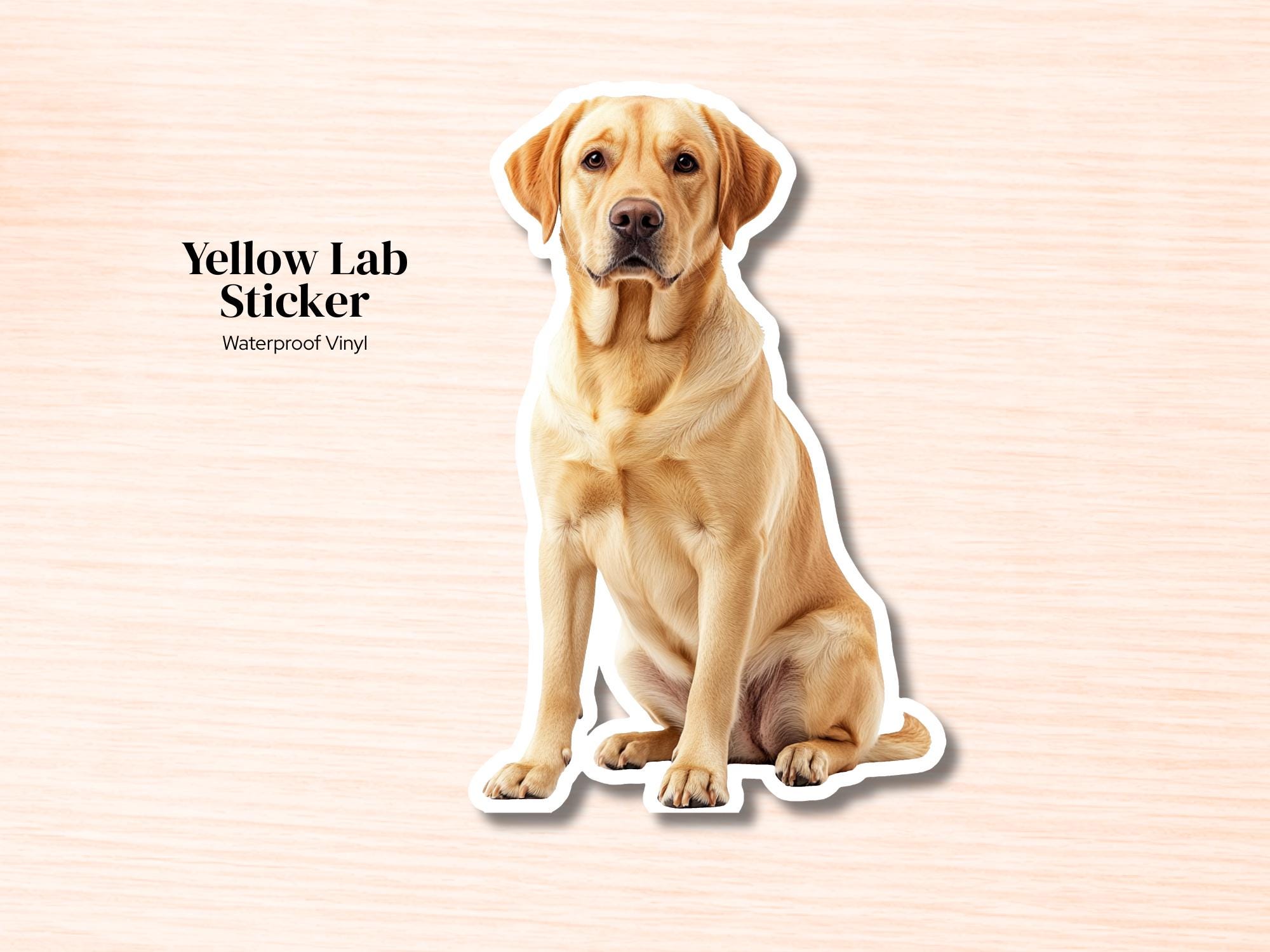 Yellow Lab Sticker | Waterproof Vinyl Labrador Retriever Decal (Laptop, Water Bottle)