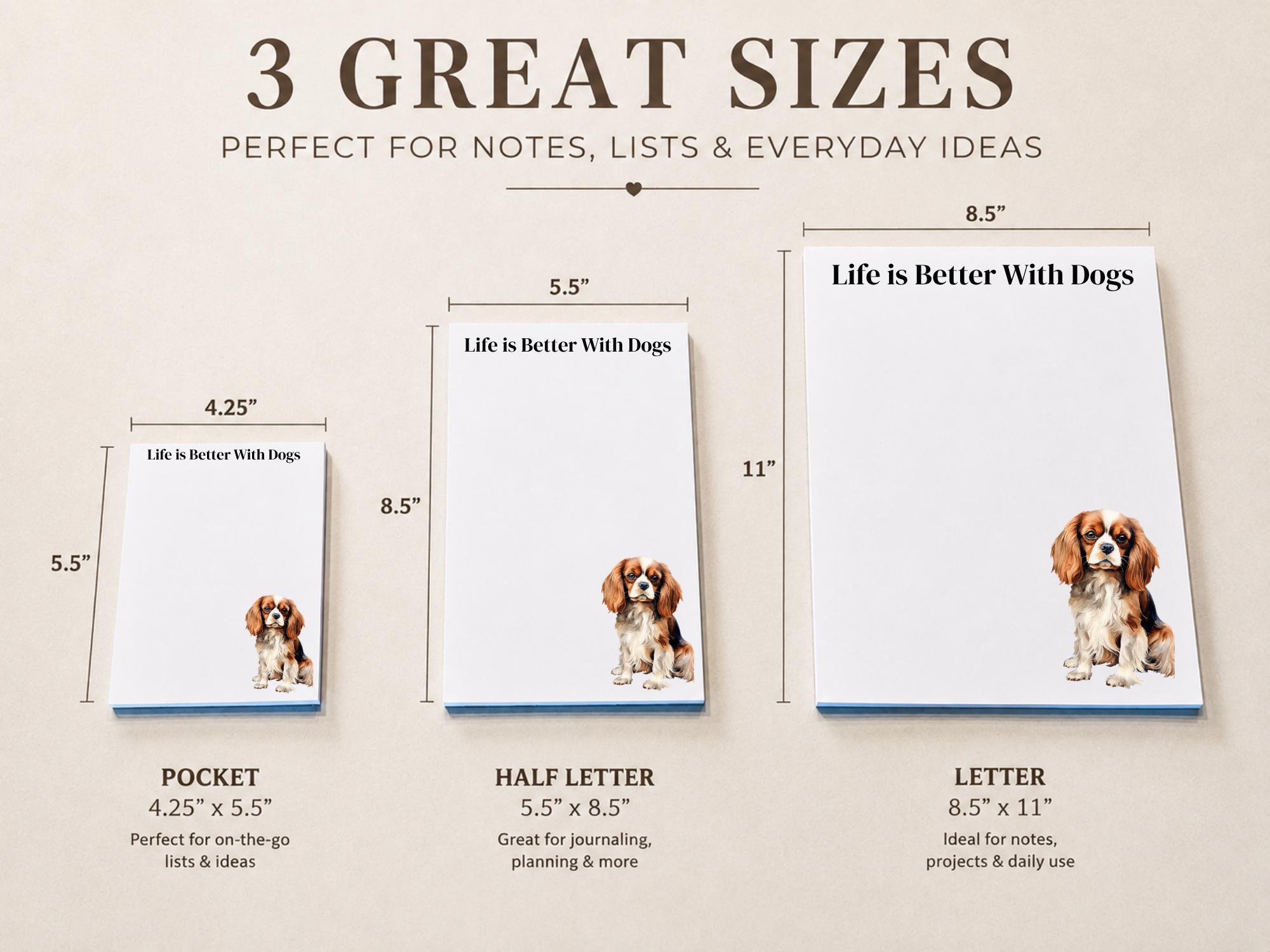 Cavalier King Charles Spaniel - Image 3