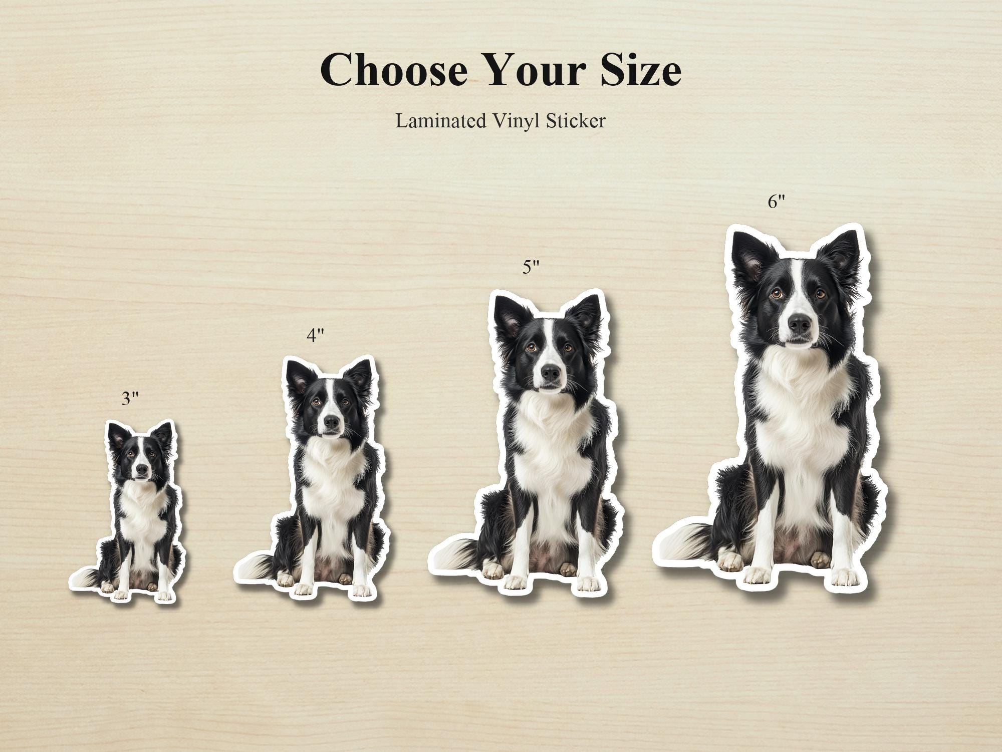 Border Collie Sticker | Waterproof Vinyl Dog Decal (Laptop, Water Bottle) - Image 2