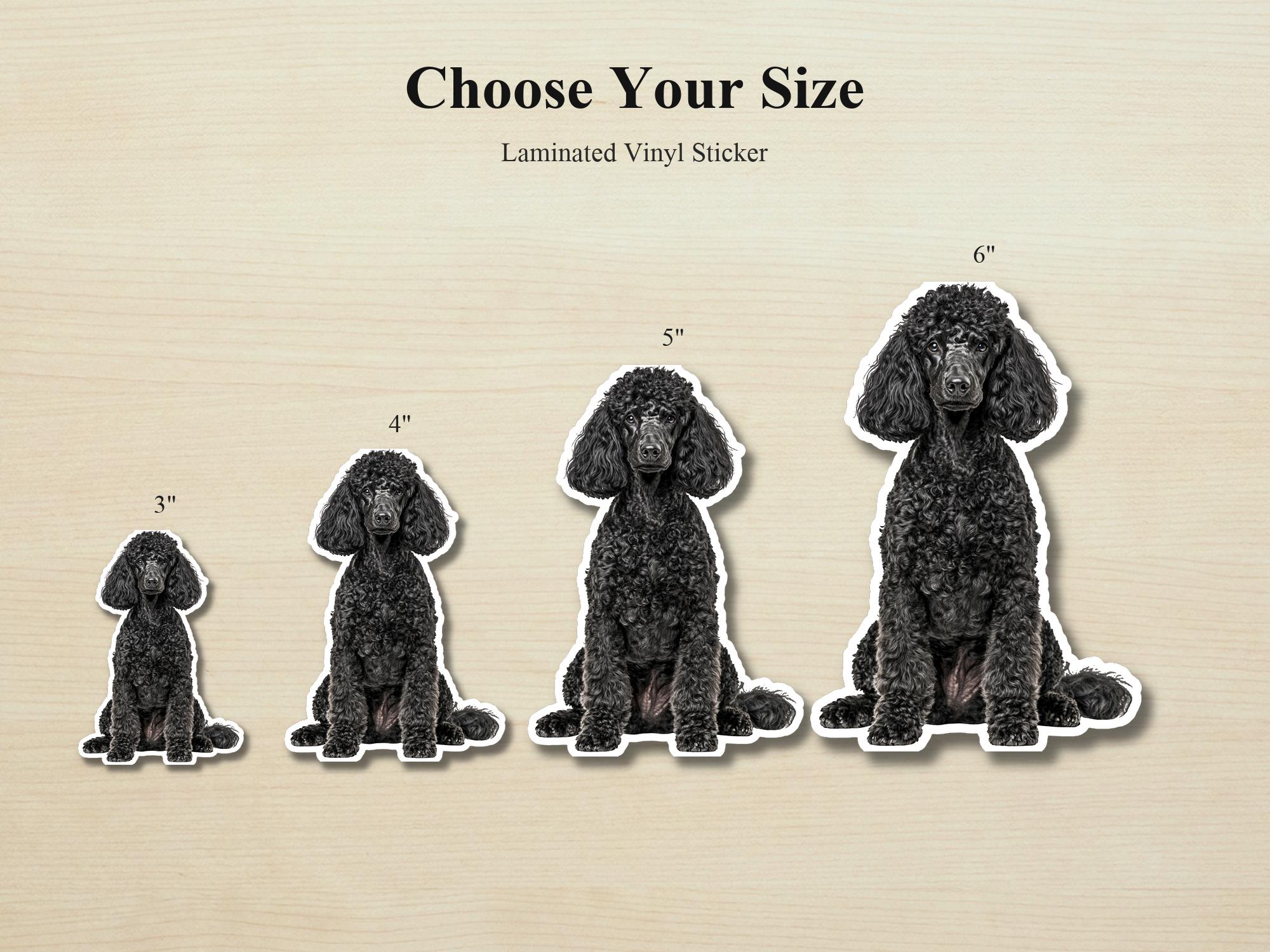 Black Poodle Vinyl Sticker | Waterproof Dog Decal - Image 2