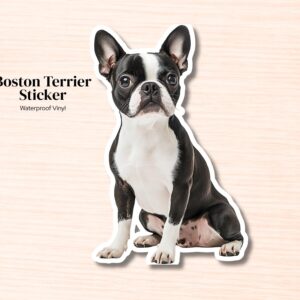 Boston Terrier Sticker | Waterproof Vinyl Dog Decal (Laptop, Water Bottle)