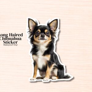 Long Hair Chihuahua Sticker | Waterproof Vinyl Long Hair Black Chihuahua Decal (Laptop, Water Bottle)