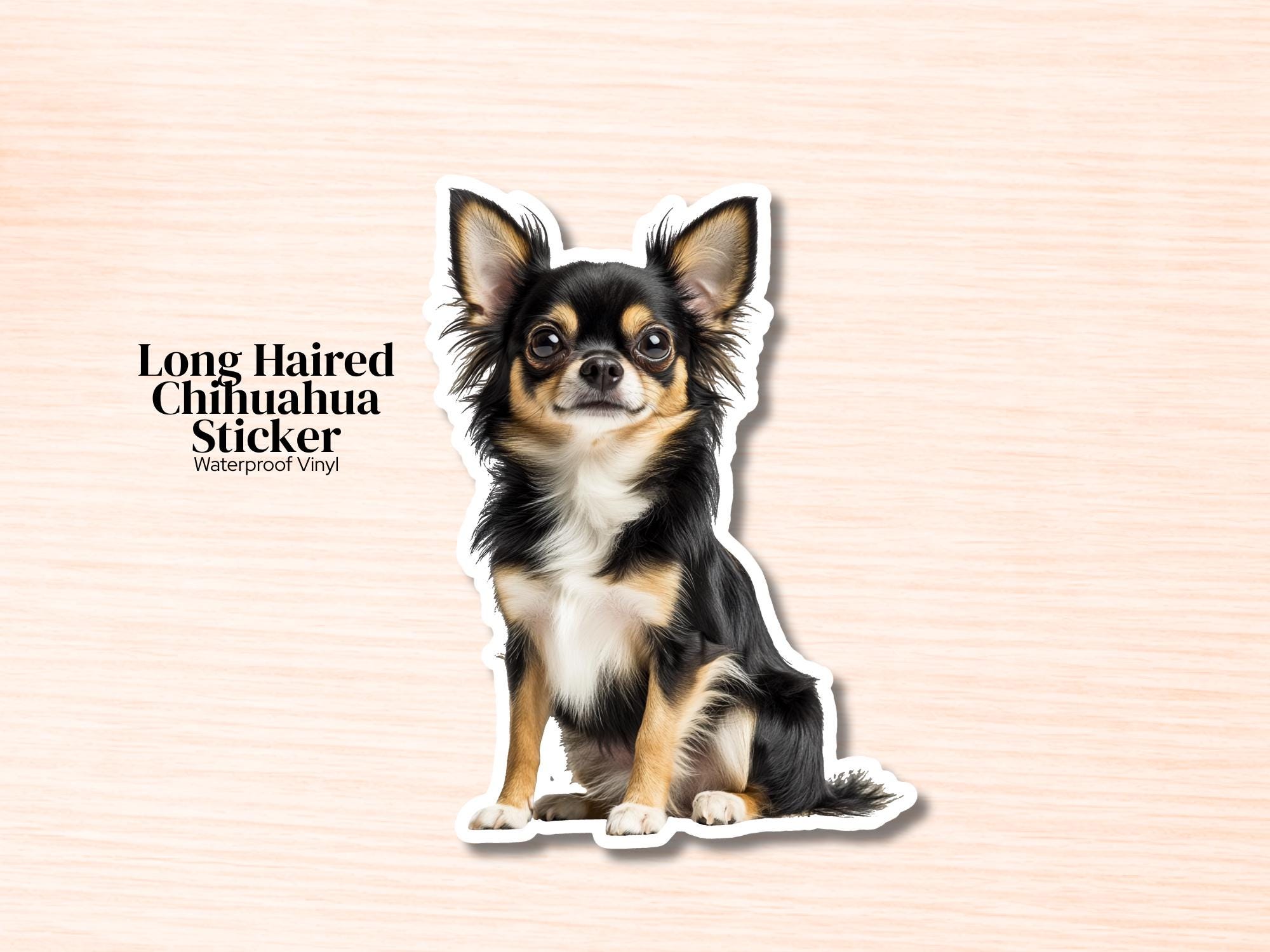Long Hair Chihuahua Sticker | Waterproof Vinyl Long Hair Black Chihuahua Decal (Laptop, Water Bottle)