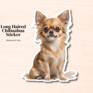 Long Hair Chihuahua Sticker | Waterproof Vinyl Tan Long Hair Chihuahua Decal (Laptop, Water Bottle)