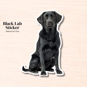 Black Lab Sticker | Waterproof Vinyl Labrador Retriever Decal (Laptop, Water Bottle)