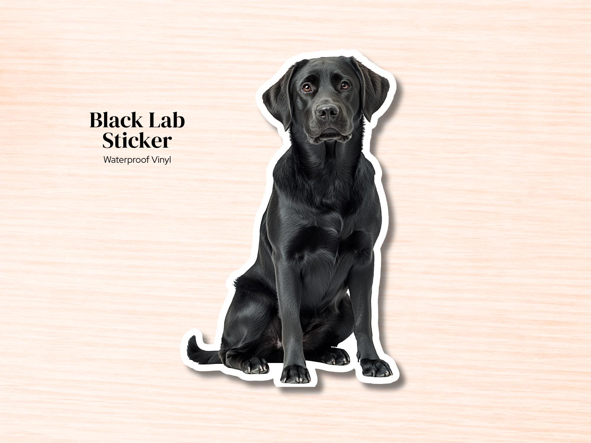 Black Lab Sticker | Waterproof Vinyl Labrador Retriever Decal (Laptop, Water Bottle)