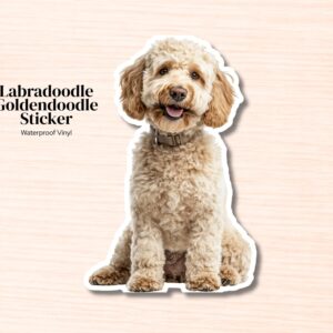 Labradoodle / Goldendoodle Sticker | Waterproof Vinyl Decal (Laptop, Water Bottle)