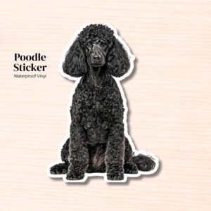 Black Poodle Vinyl Sticker | Waterproof Dog Decal