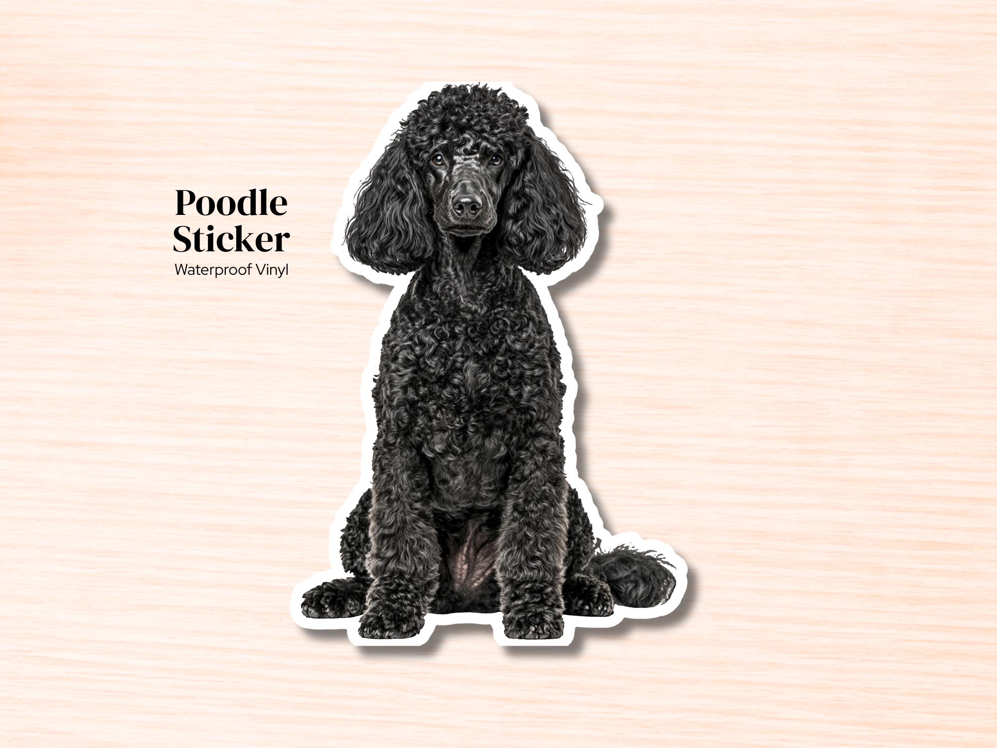 Black Poodle Vinyl Sticker | Waterproof Dog Decal