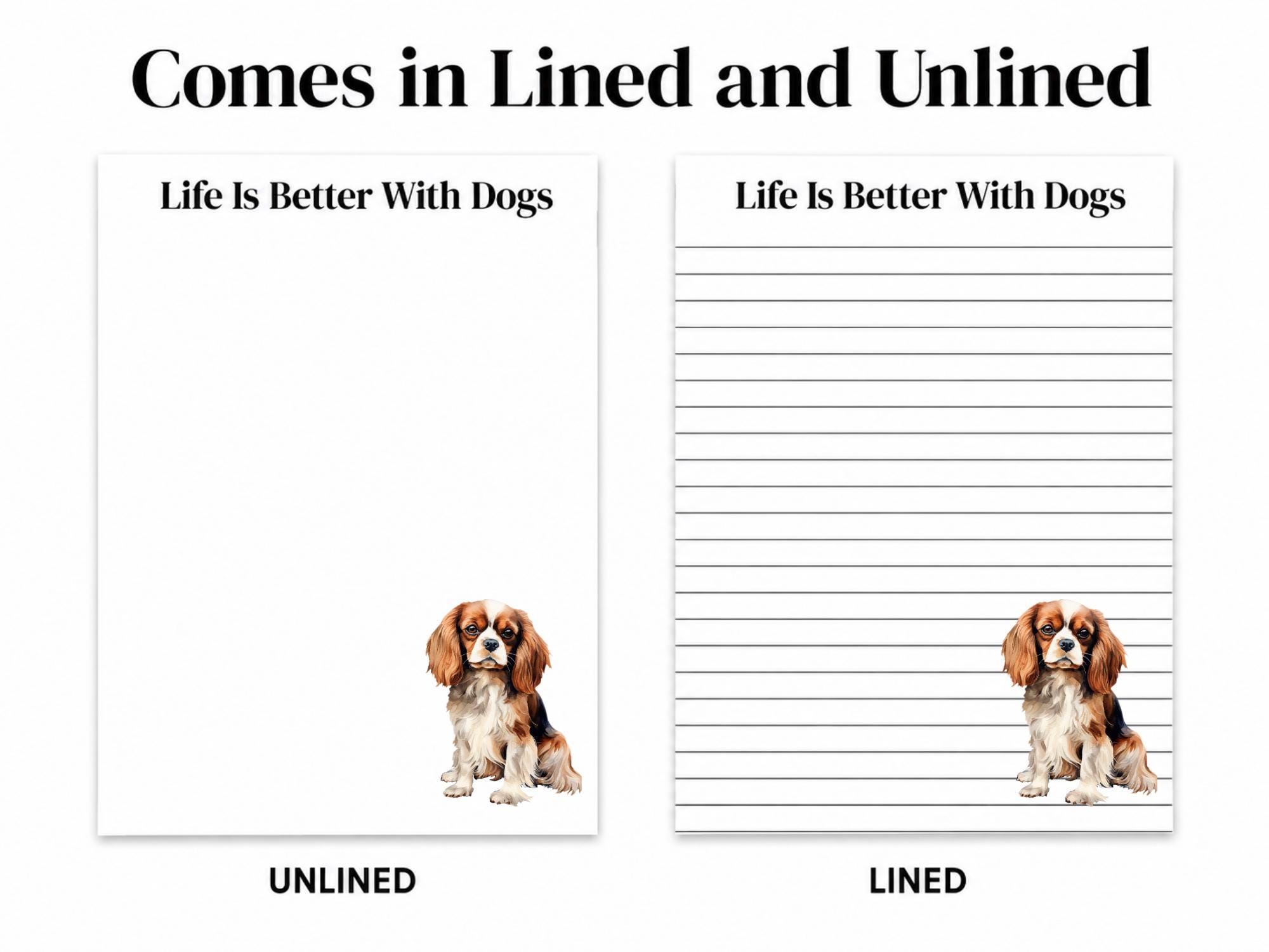 Cavalier King Charles Spaniel - Image 5