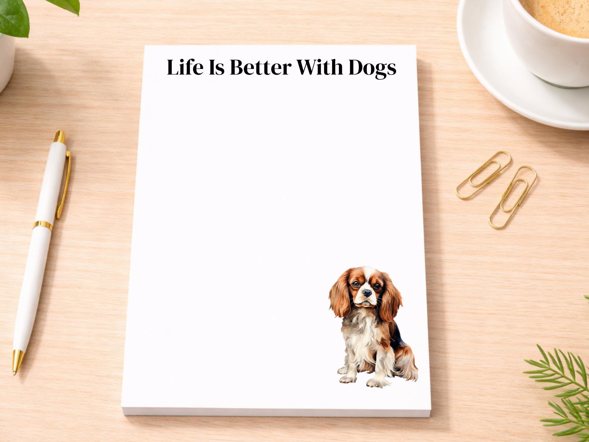 Cavalier King Charles Spaniel