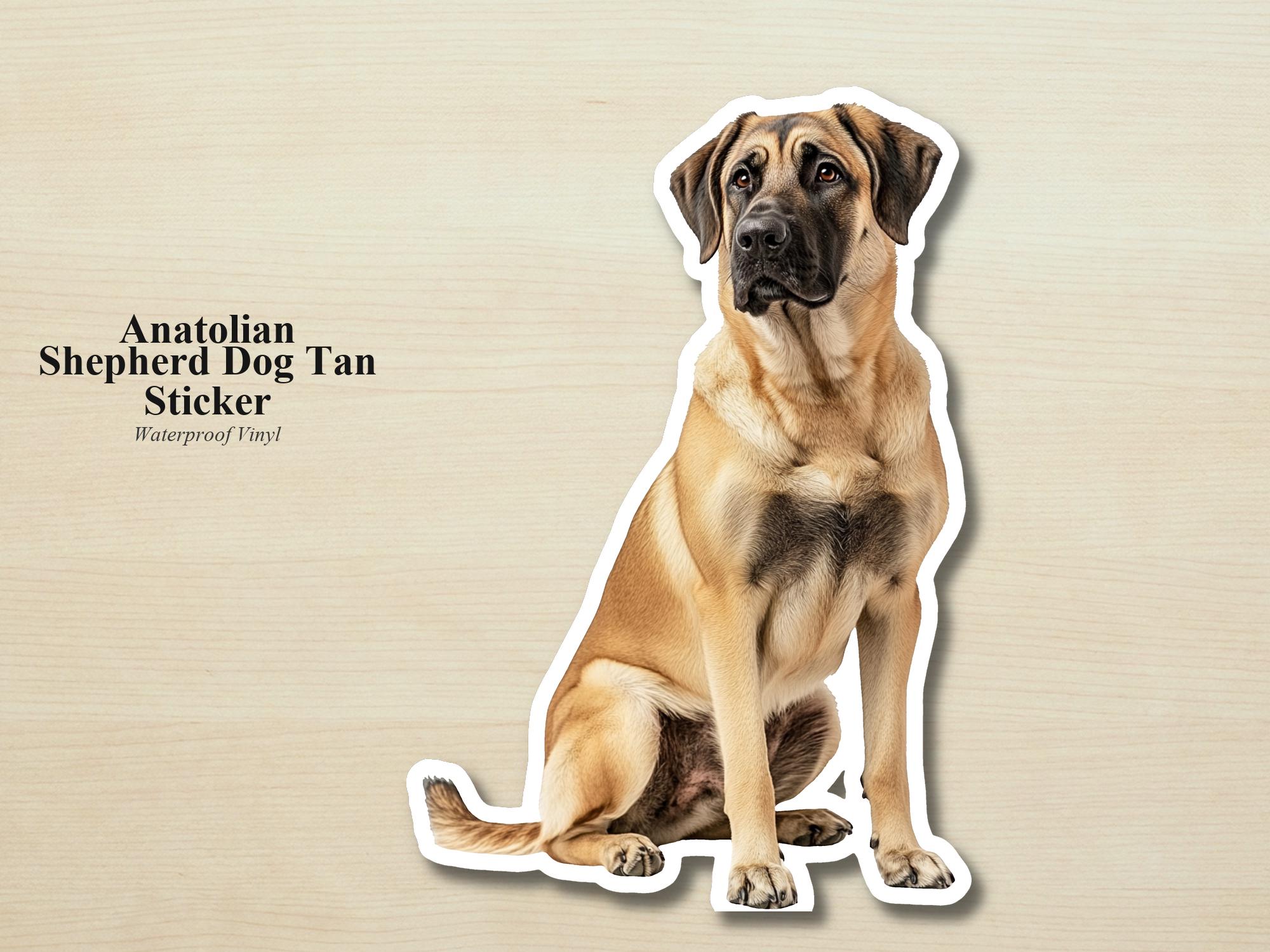 Anatolian Shepherd Dog Sticker | Waterproof Vinyl Dog Decal
