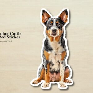 Australian Cattle Dog Sticker | Red Heeler Waterproof Vinyl Dog Decal