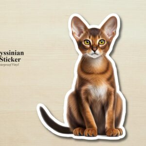 Abyssinian Sticker | Waterproof Vinyl Cat Decal