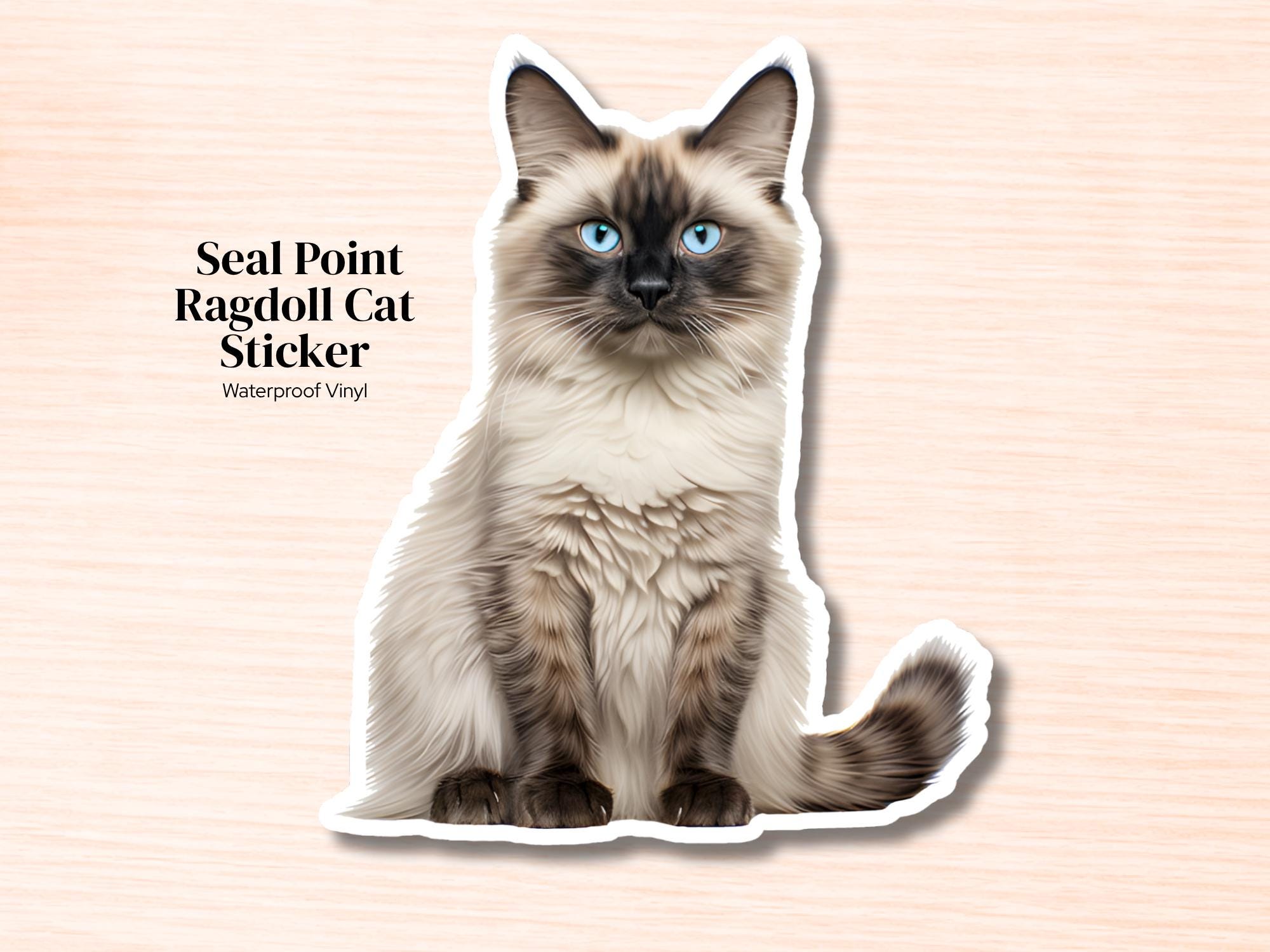 Seal Point Ragdoll Cat Sticker | Waterproof Vinyl Cat Decal