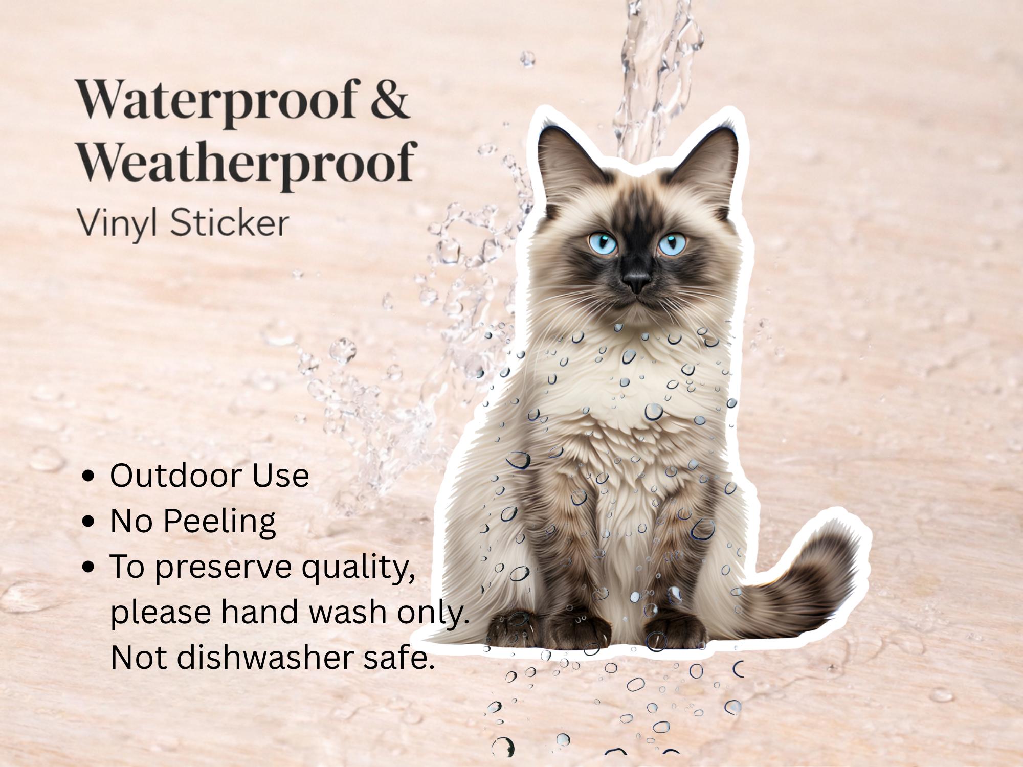 Seal Point Ragdoll Cat Sticker | Waterproof Vinyl Cat Decal - Image 3