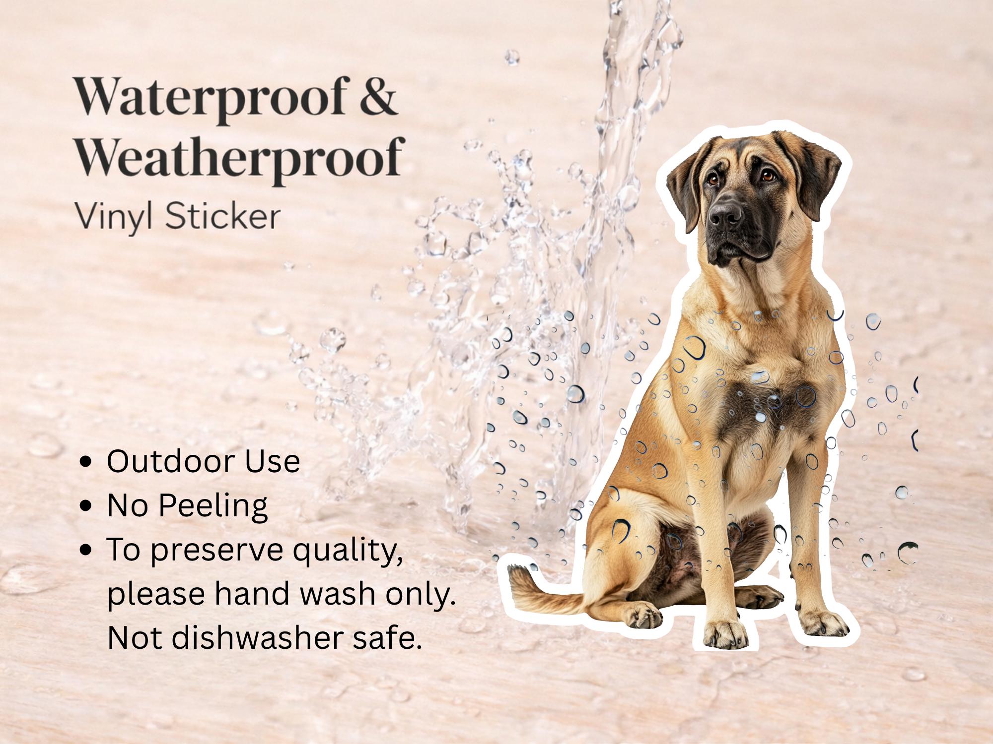 Anatolian Shepherd Dog Sticker | Waterproof Vinyl Dog Decal - Image 3