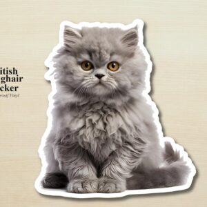 British Longhair Cat Sticker | Waterproof Vinyl Cat Decal