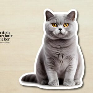 British Shorthair Cat Sticker | Waterproof Vinyl Cat Decal