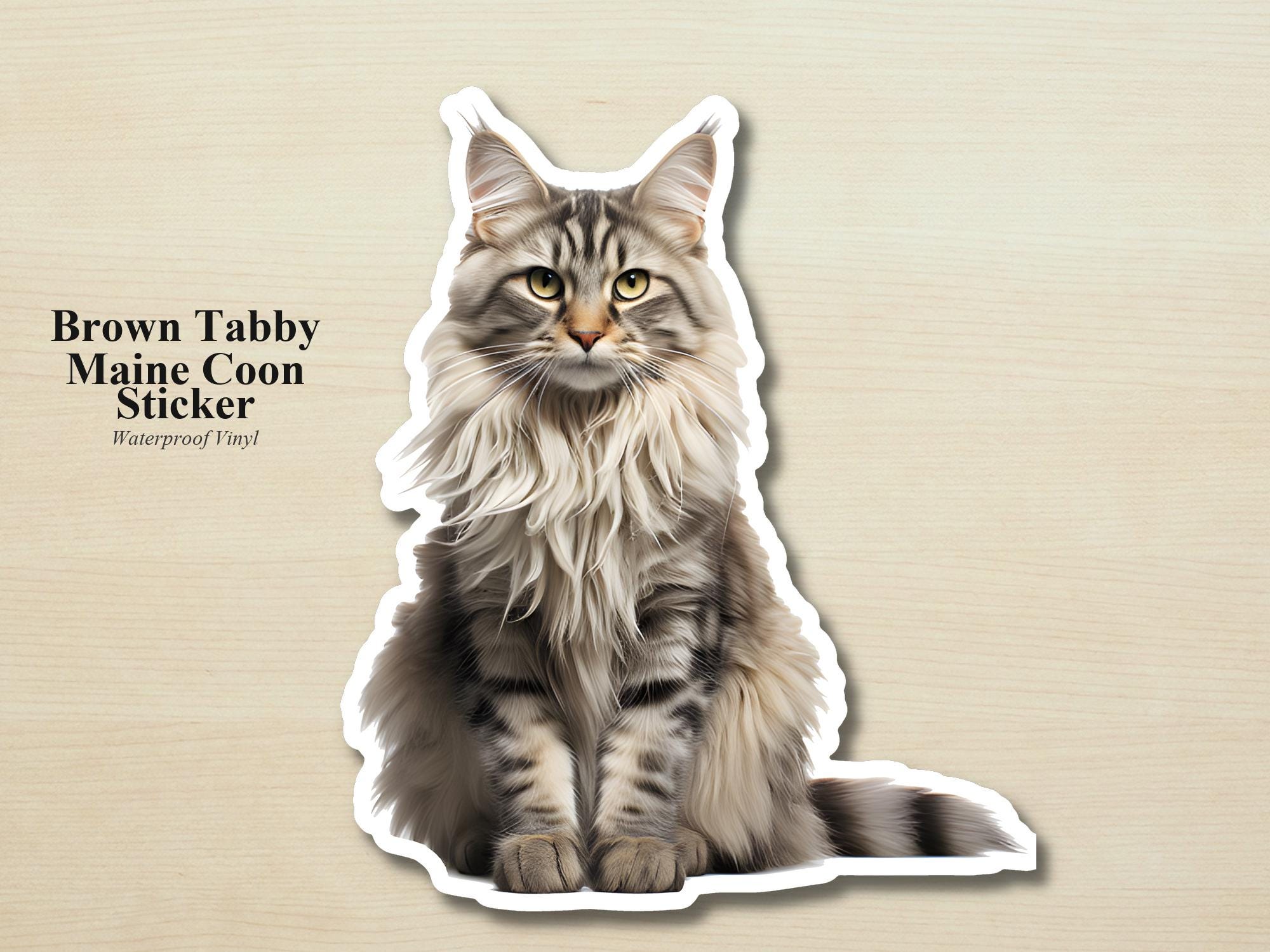 Maine Coon Cat Sticker | Waterproof Vinyl Cat Decal