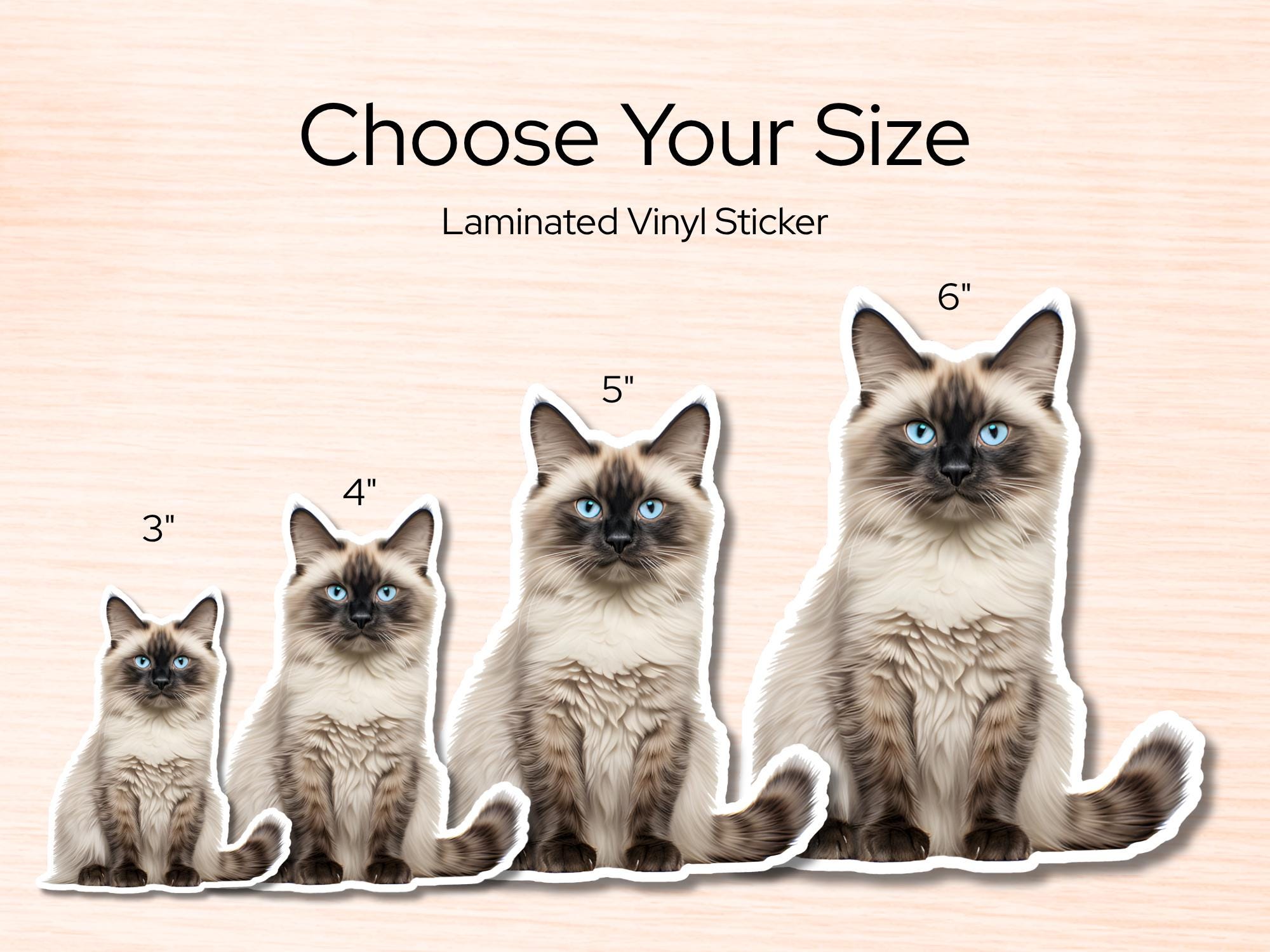 Seal Point Ragdoll Cat Sticker | Waterproof Vinyl Cat Decal - Image 2