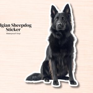 Belgian Sheepdog Sticker |  Waterproof Vinyl Dog Decal
