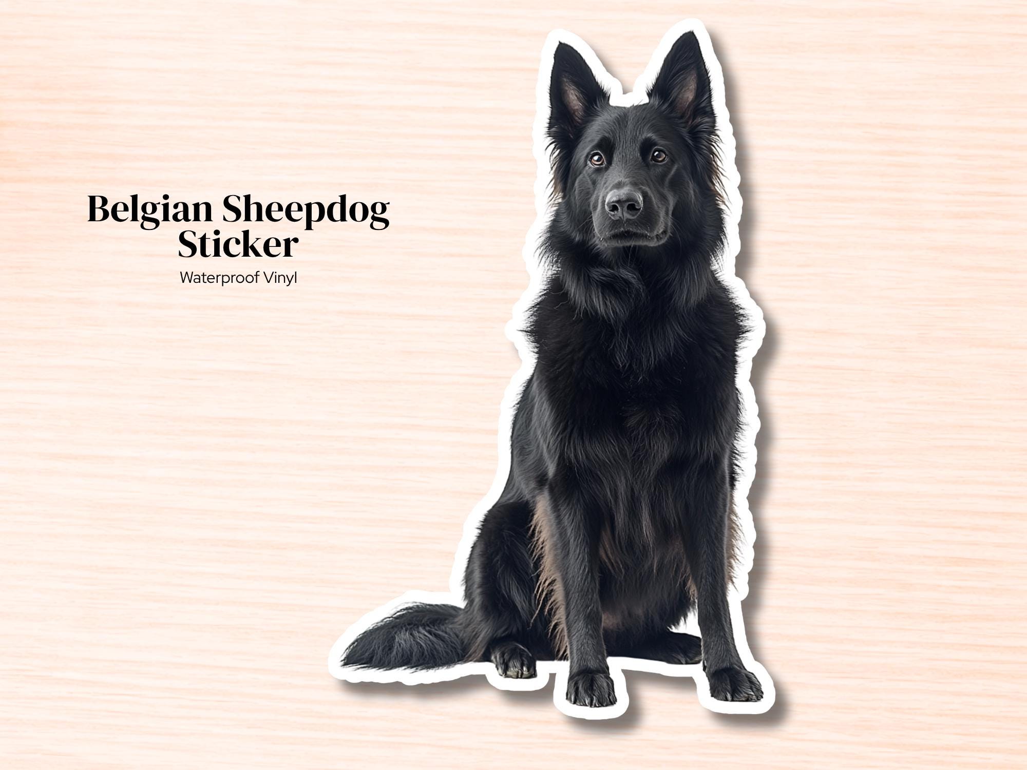 Belgian Sheepdog Sticker | Waterproof Vinyl Dog Decal